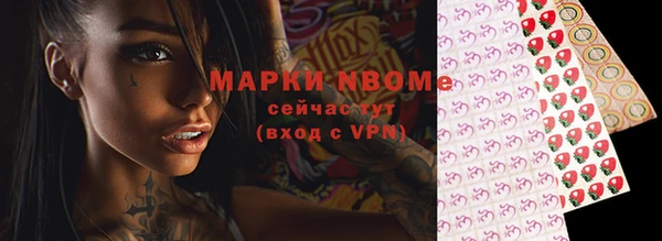 крисы Лабытнанги
