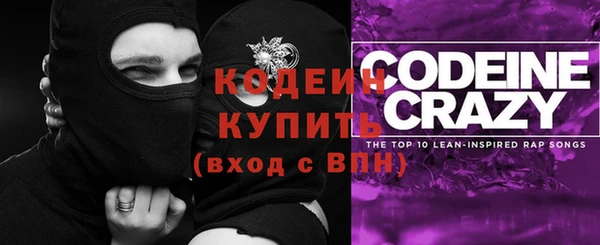 крисы Лабытнанги