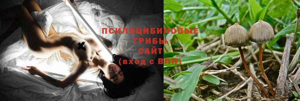 крисы Лабытнанги