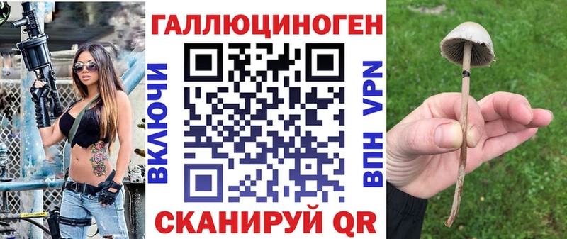 Купить закладки Ангарск Псилоцибиновые грибы мухоморы